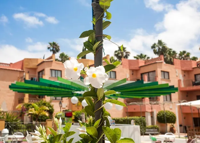 Mandi Golf 4* Playa de las Americas (Tenerife)